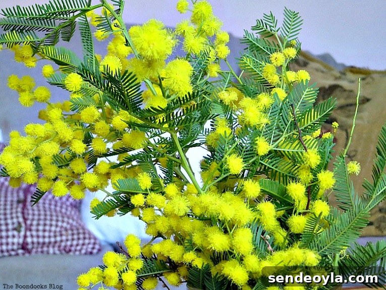 DIY Spring Pedestal from Upcycled Cordial Glasses and Saucers 4 Close up of Yellow spring flowers.