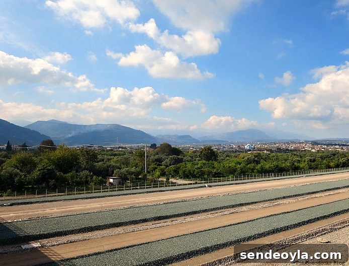 Mountains in the background, The View from the Railroad Overpass www.theboondocksblog.com
