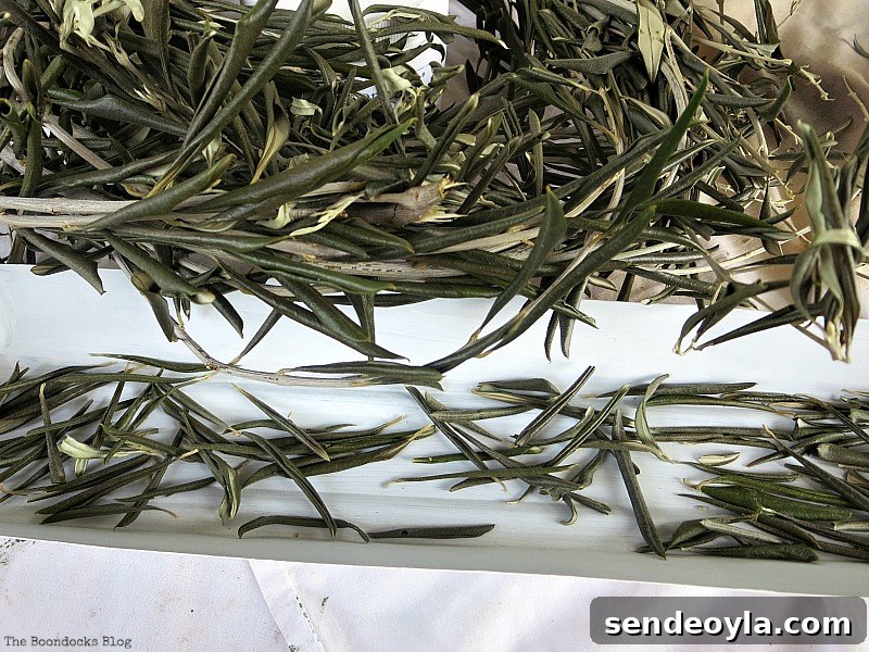 Green Christmas Centerpiece Ideas to Wrap Up the Holidays 4 Adding olive leaves, Easy Green Christmas Centerpieces