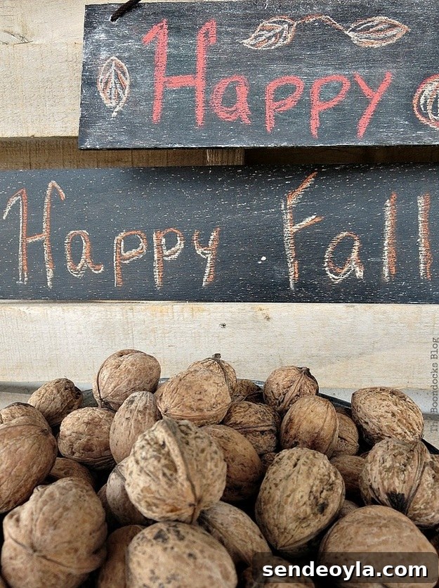 fall y'all signs, easy chalkboard signs for the holidays www.theboondocksblog.com