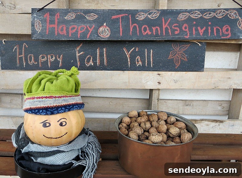 Two fall signs, Easy Chalkboard signs for the Holidays www.theboondocksblog.com