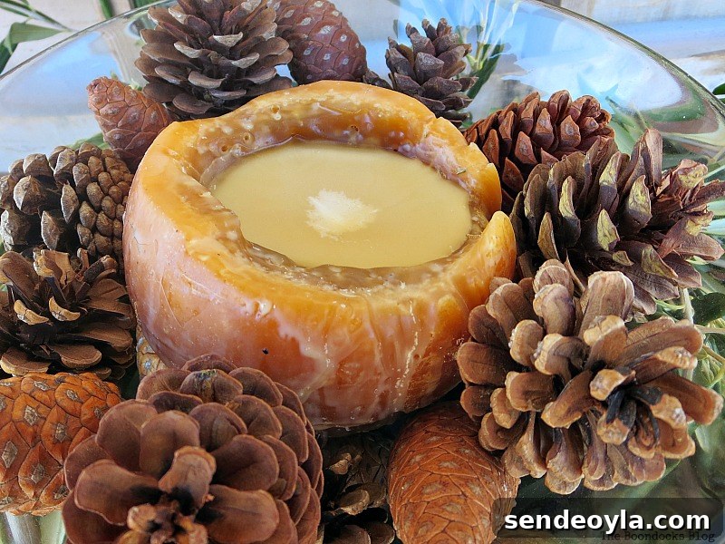 DIY Natural Thanksgiving Table Centerpiece Ideas 13 Candle in center of pinecones.