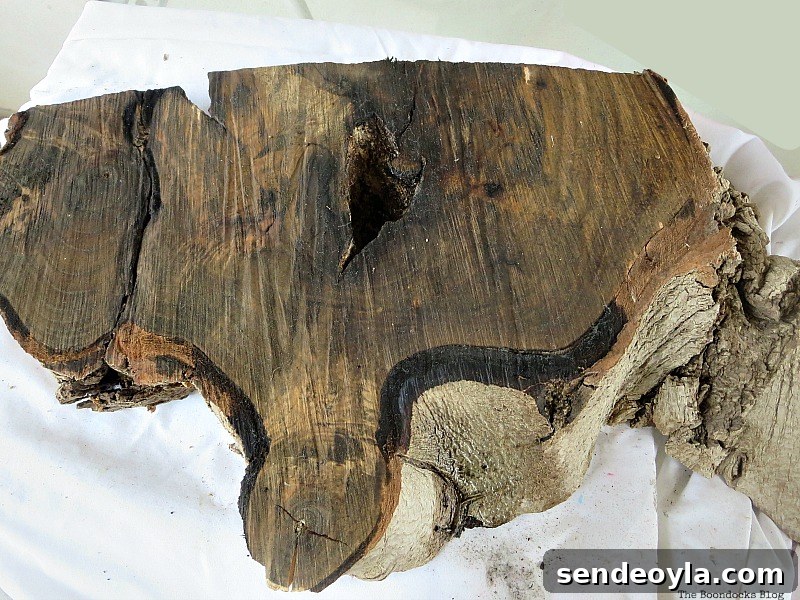 DIY Natural Thanksgiving Table Centerpiece Ideas 4 Close up of stained wood stump.