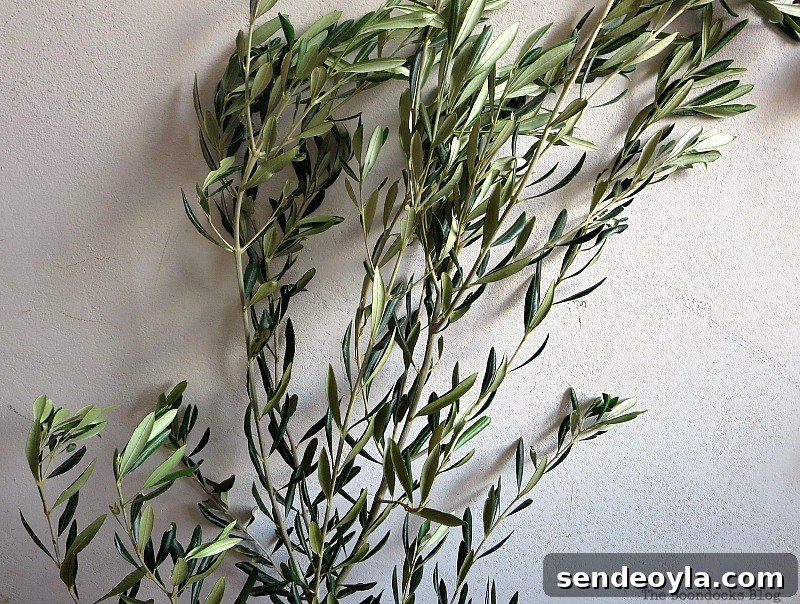 DIY Natural Thanksgiving Table Centerpiece Ideas 5 Olive Branches.