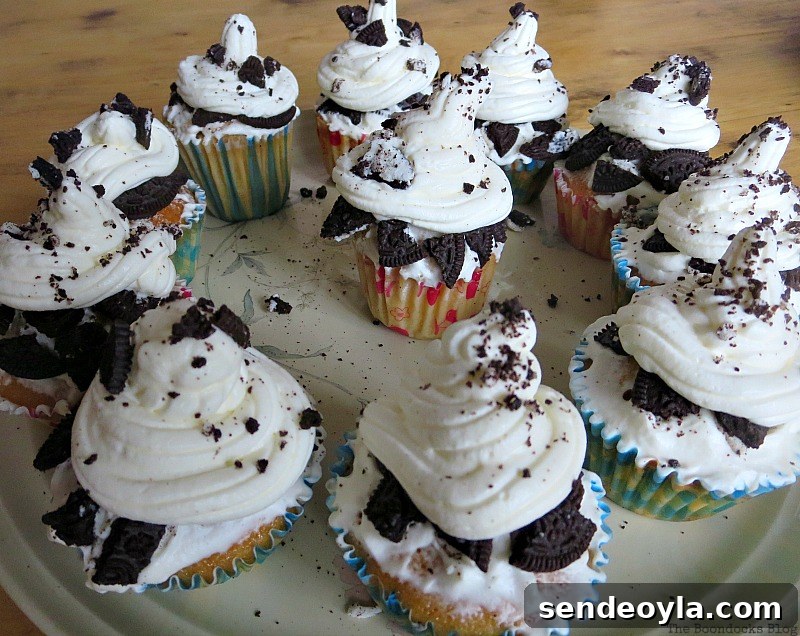 Cupcakes, Paranoid Man goes to the Halloween Party