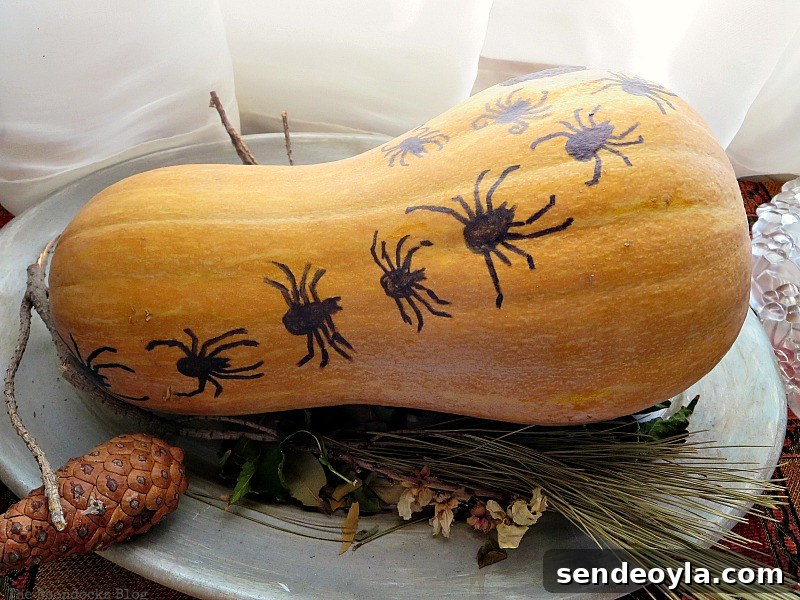Gourd with painted spiders, Paranoid Man goes to the Halloween Party