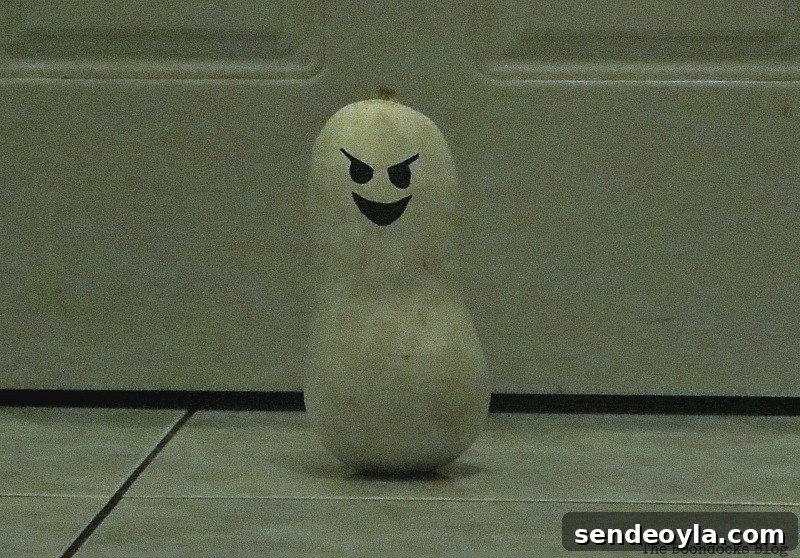 Creepy Mr. Gourd, Paranoid Man goes to the Halloween Party