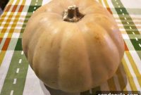 Paranoid Man Pumpkin DIY for a Spooky Halloween