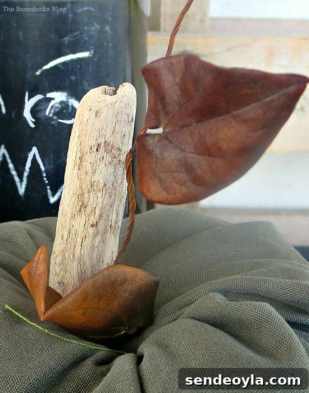 Dried leaves, The Paranoid Man Pumpkin Craft