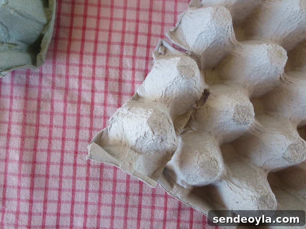 Cutting the cartons, How to Make Easy Fall Flowers using Egg Cartons