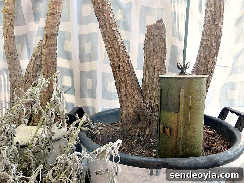 Inside the big pot