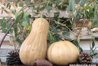 How to Make a Fall Eucalyptus Vignette