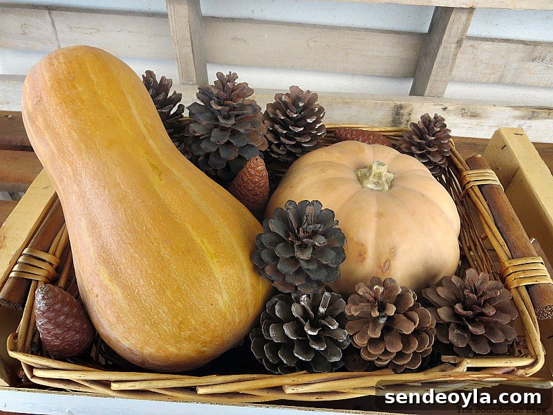 Adding the pinecones, Easy DIY Fall Eucalyptus Vignette www.theboondocksblog.com
