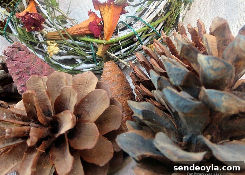 Flowers and pinecones