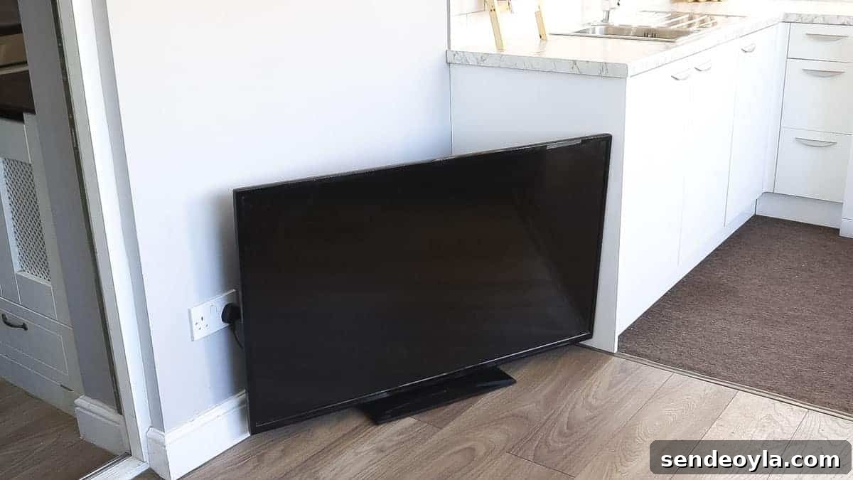 DIY TV Stand from Scrap Wood: Step-by-Step Guide 3 plasma TV on floor before making a stand