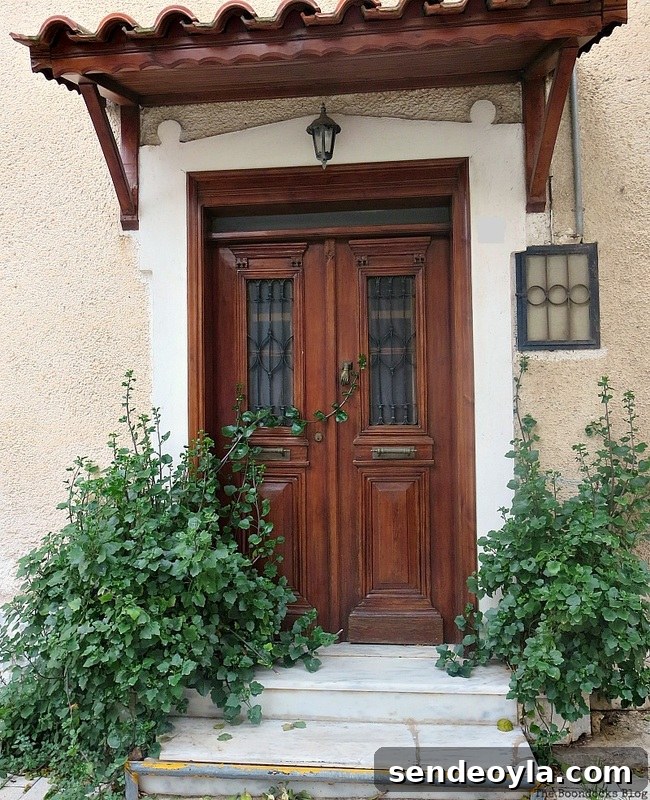 Traditional wooden door with metal on windows, photo essay on Doors and a Sorta Blogoversary
