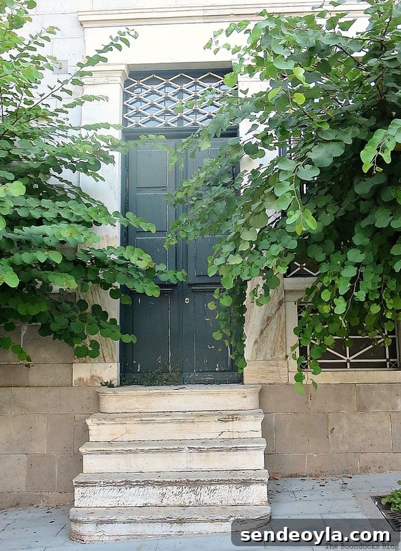 Narrow green wooden door, photo essay on Doors and a Sorta Blogoversary