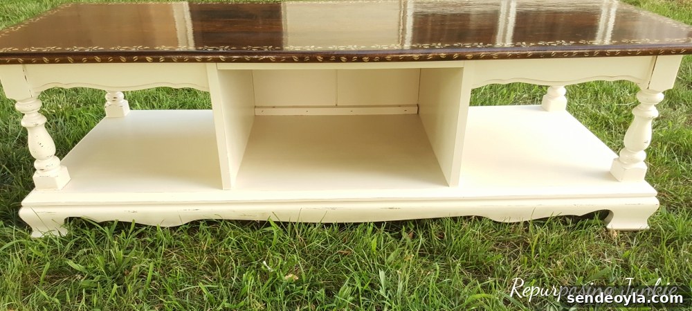 DIY Curbside Coffee Table Makeover 7 Side with doors removed
