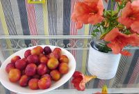 Summer Balcony Tour Part 1: Exploring a Cozy Outdoor Space