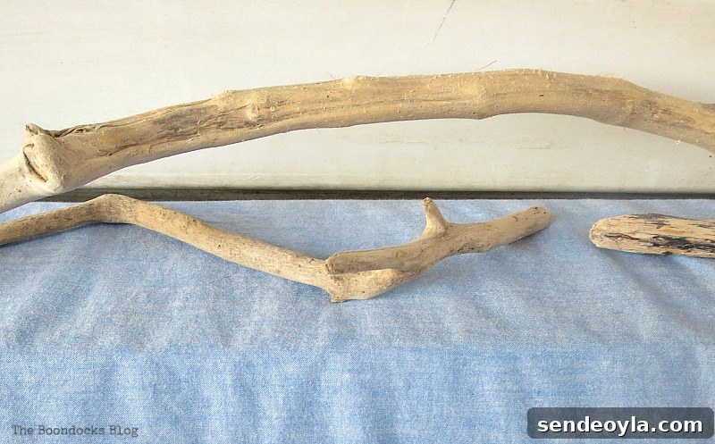 Drift wood, A Tour of the Balcony, Part 1 www.theboondocksblog.com