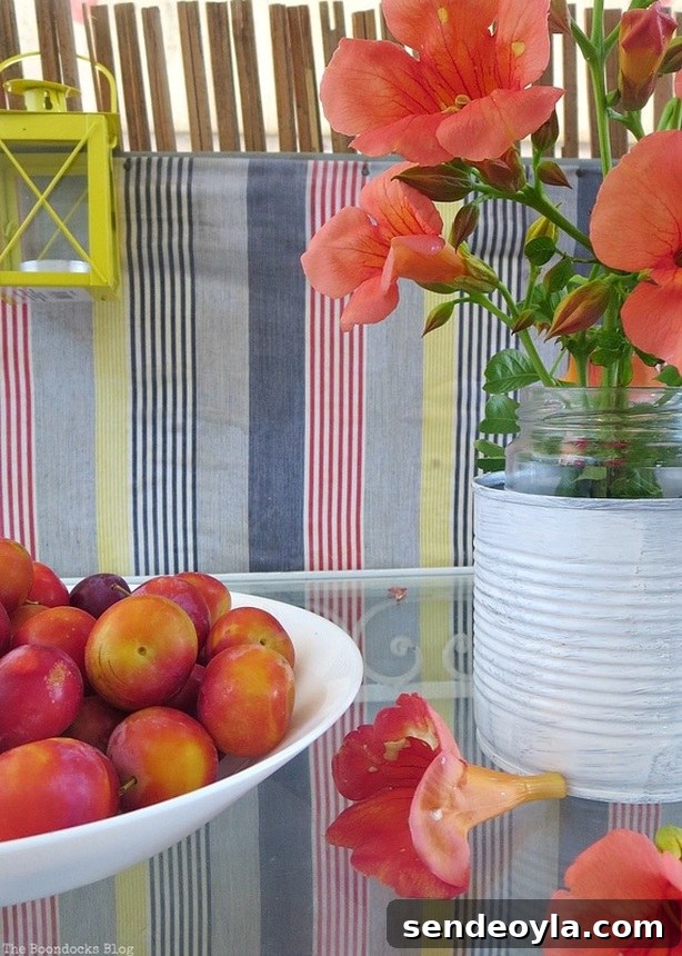 Cherry plums and flowers on the table, A Tour of the Balcony, Part 1 www.theboondocksblog.com