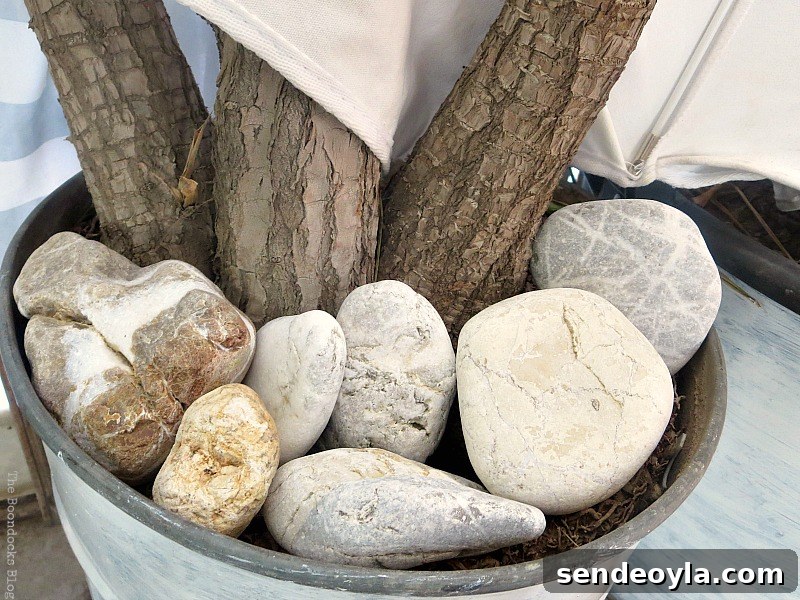 Rocks in a planter, A Tour of the Balcony, Part 1 www.theboondocksblog.com