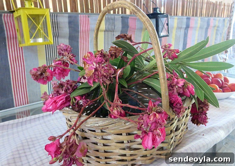 Dried flowers in a basket, A Tour of the Balcony, Part 1 www.theboondocksblog.com