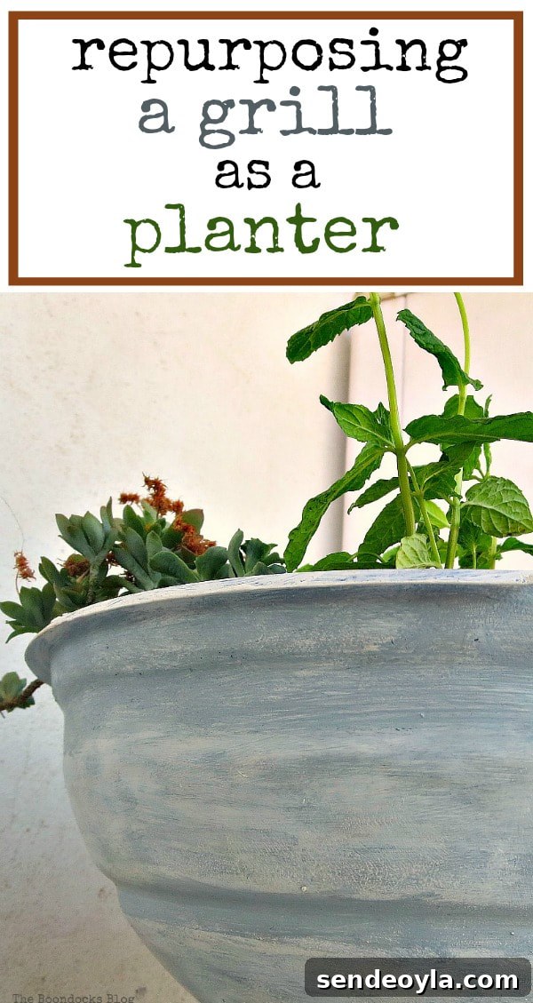 Using a grill as a planter , #repurposes #containergarden #upcycles #newusesforgrill #grillmakeover Grilling the plants for Earth Day www.theboondocksblog.com
