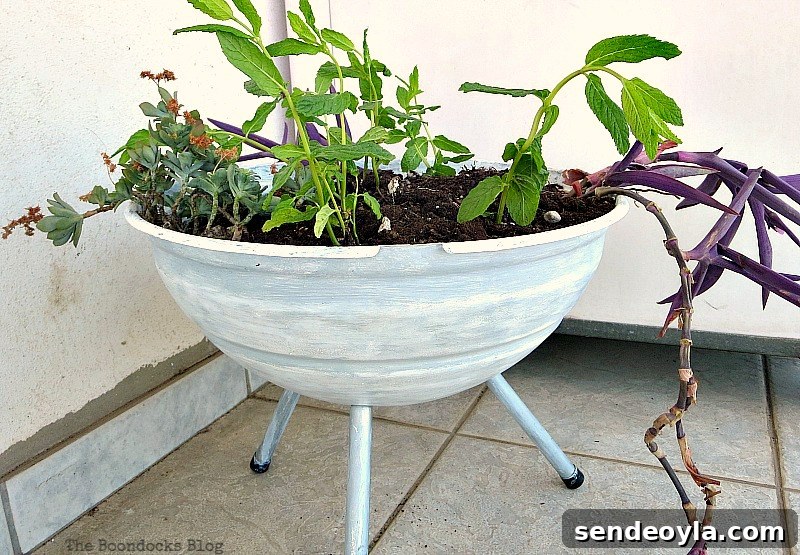 Using a grill as a planter , Grilling the plants for Earth Day www.theboondocksblog.com