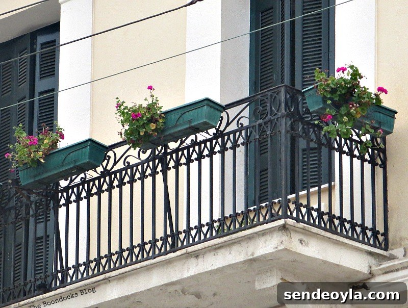 Flowers on balcony Flowers for Spring in Greece Int'l bloggers club challenge www.theboondocksblog.com