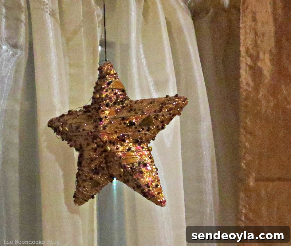 Star, Home for Christmas - the Boondocks Blog
