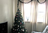 Christmas Birds: A Guide to Species and Traditions