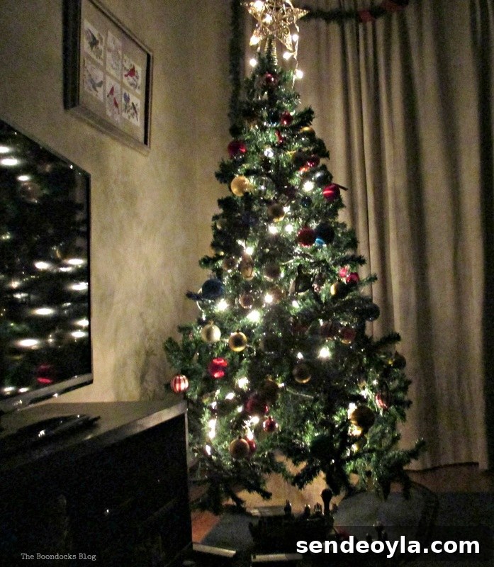  The Birds of Christmas - The Boondocks Blog 