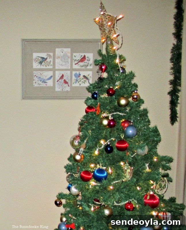 Picture Frame, Birds of Christmas - The Boondocks Blog