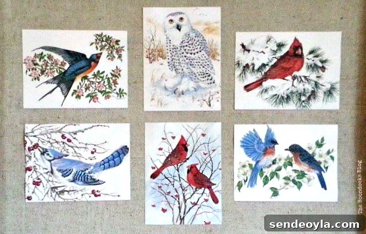Birds of Christmas - The Boondocks Blog