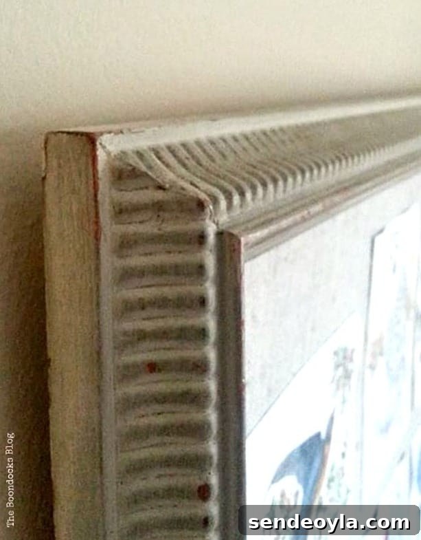 Detail of Frame, Birds of Christmas - The Boondocks Blog