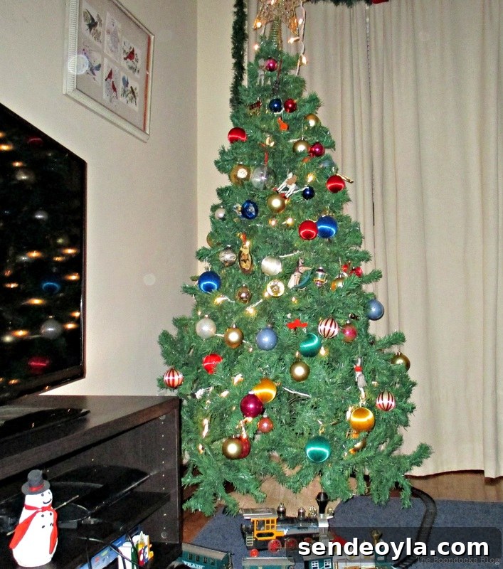 Picture Frame and tree, Birds of Christmas - The Boondocks Blog