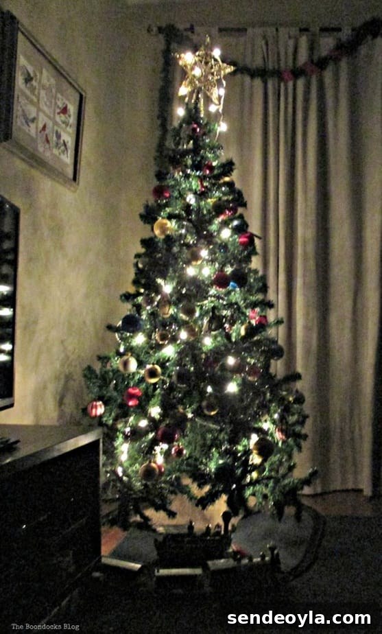 The Birds of Christmas and Tree - The Boondocks Blog