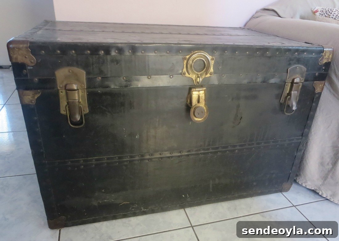 DIY Metal Trunk Makeover with Vintage Book Pages 3 Old Trunk before, The chivalrous Trunk www.theboondocksblog.com