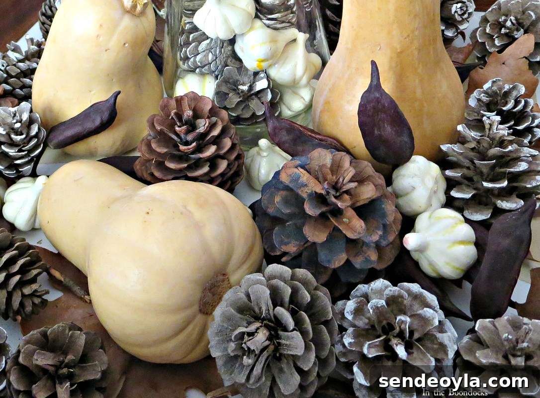 Pumpkins and pinecones, Faking a Fall Vignette, www.theboondocksblog.com