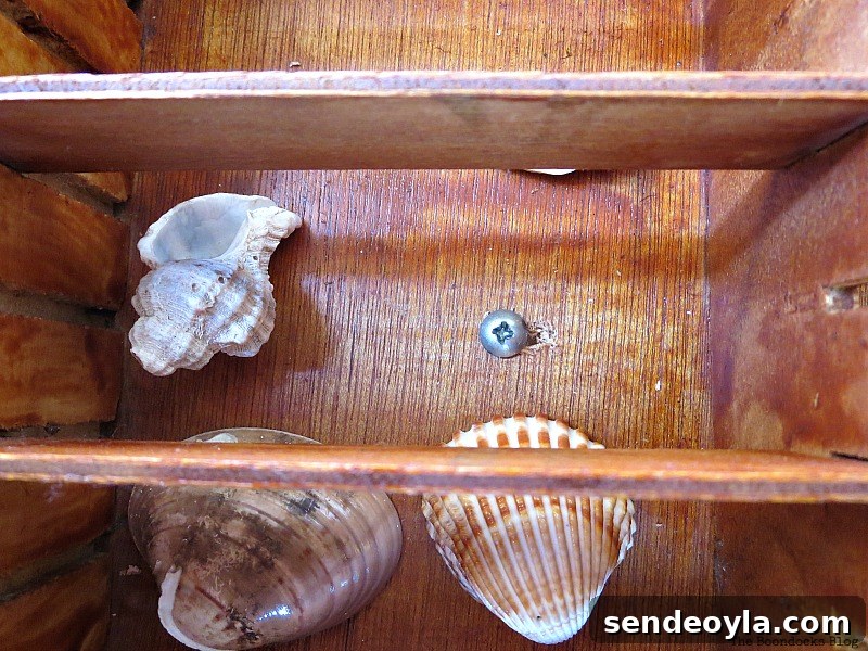 Showcase Table Styling Ideas to Highlight Your Home Decor 7 Adding the shells inside, The Showcase Table www.theboondocksblog.com