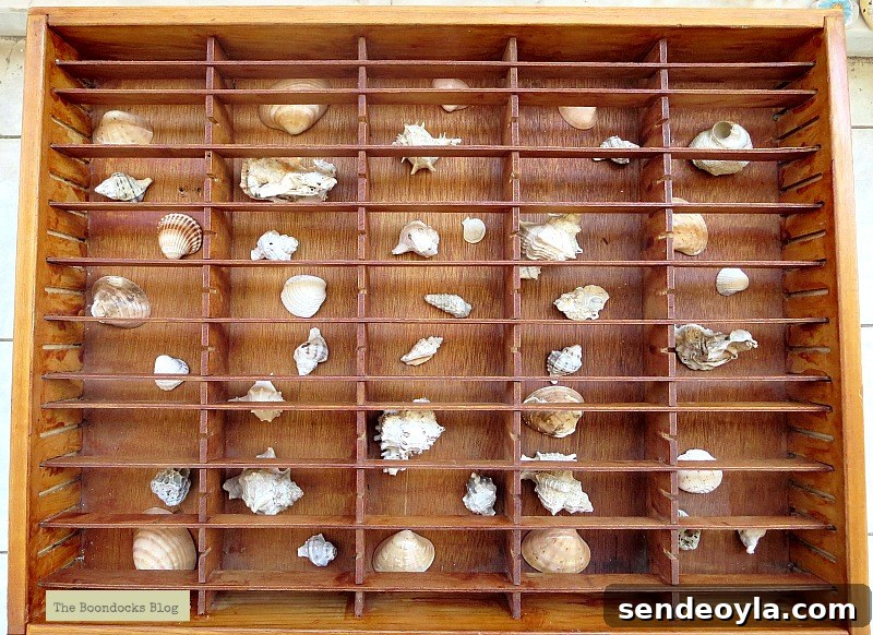 Showcase Table Styling Ideas to Highlight Your Home Decor 8 the cassette holder filled with shells, The Showcase Table www.theboondocksblog.com